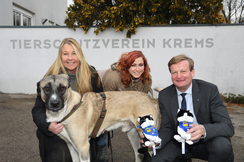 Tierschutzaktion ist erfolgreich angelaufen: Nina Zinn-Zinnenburg und Katrin Hofbauer vom Tierheim Krems, Landesrat Gottfried Waldhäusl